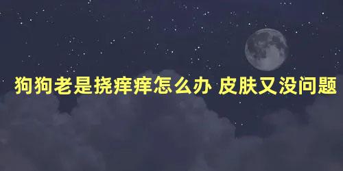 狗狗老是挠痒痒怎么办 皮肤又没问题